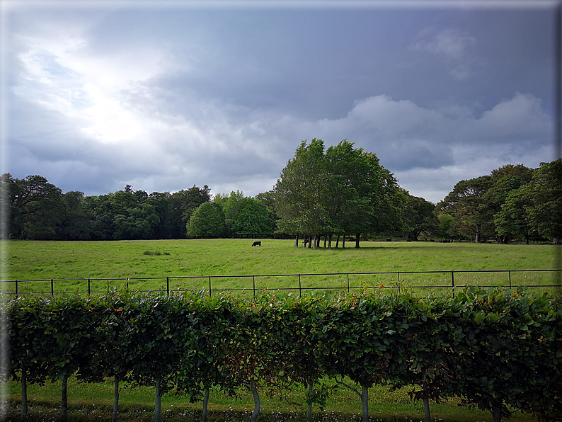 foto Parco di Killarney